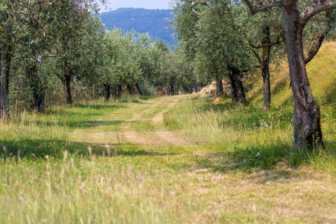 Casa Mandello Apartman Salò Kültér fotó
